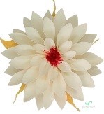 PRESERVED DAHLIA WHI-04