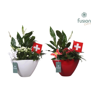 Keramiek pot met arrangement en de vlag van Zwitserland