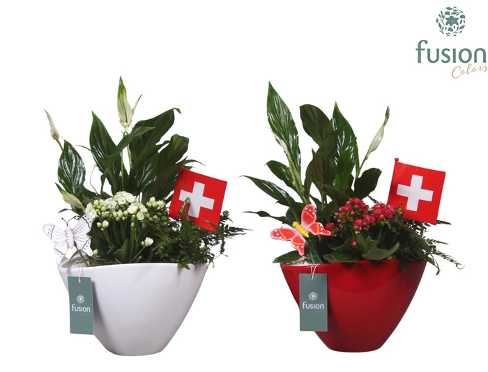 <h4>Keramiek pot met arrangement en de vlag van Zwitserland</h4>