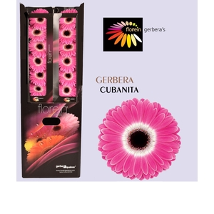 GE GR CUBANITA Aquabox 96