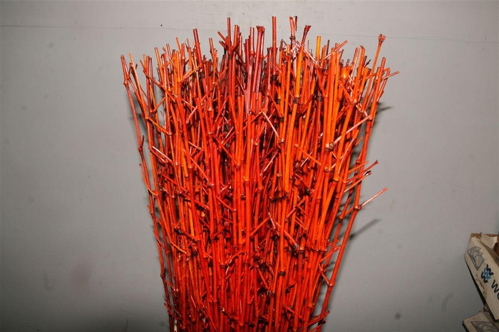 <h4>Deco Salim 1k X1</h4>