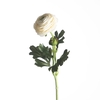 AF Ranunculus L51cm White