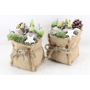 arr4 Hyacint MB - Jute zak strik 338/8