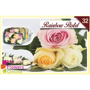 R Gr Rainbow Pastel 40cm EC