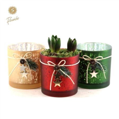 <h4>Hyacinth Mix 3424 Christmas Glass 3pp</h4>