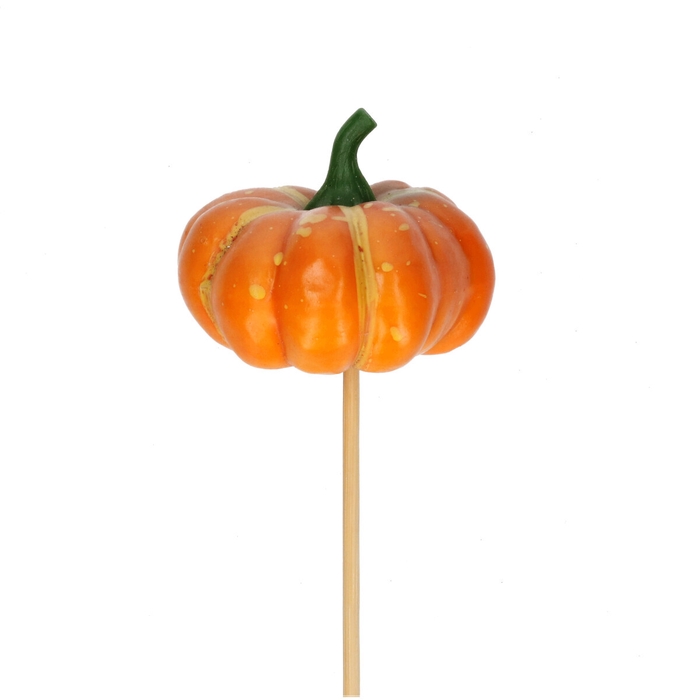 <h4>Autumn 50cm Pumpkin 7cm</h4>