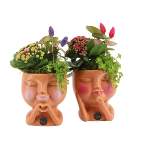 21603: Lovess arrangement