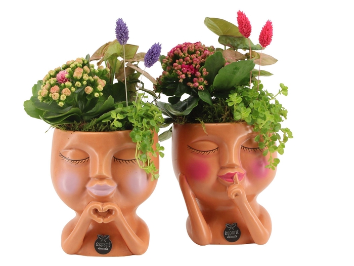 <h4>21603: Lovess arrangement</h4>