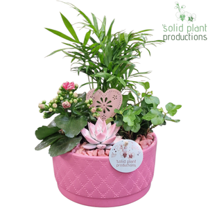 CE003 Loes Pink VM