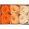 Ro Pres Classic Mix Orange