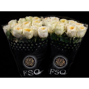 R Gr Gar Antonia Garden Box