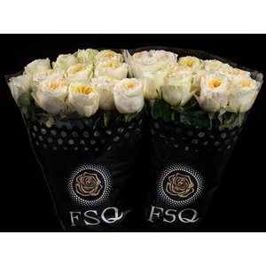 R Gr Gar Antonia Garden