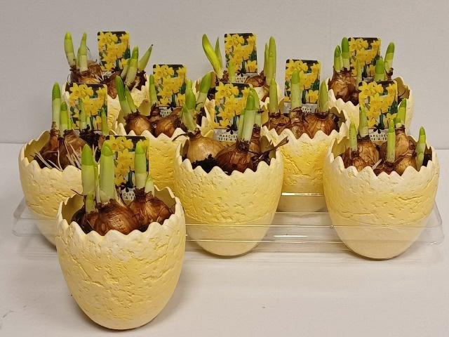 <h4>ARR N TETE A TETE</h4>