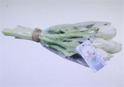 <h4>3109 Kunst Tulp Creme</h4>