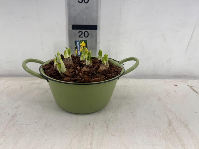 <h4>ARR N TETE A TETE</h4>