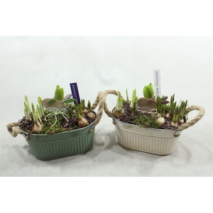 91205 ZINK OV GR-WIT BM