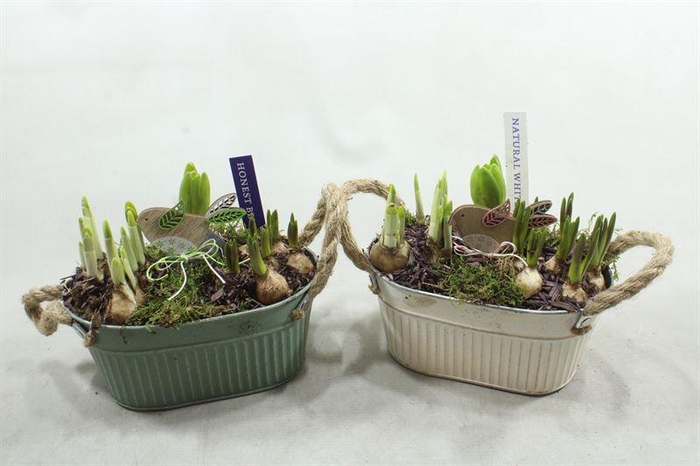 <h4>91205 ZINK OV GR-WIT BM</h4>