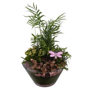 PTIG2678 Arrangement Indoor in glas schaal