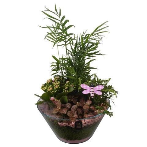 <h4>PTIG2678 Arrangement Indoor in glas schaal</h4>