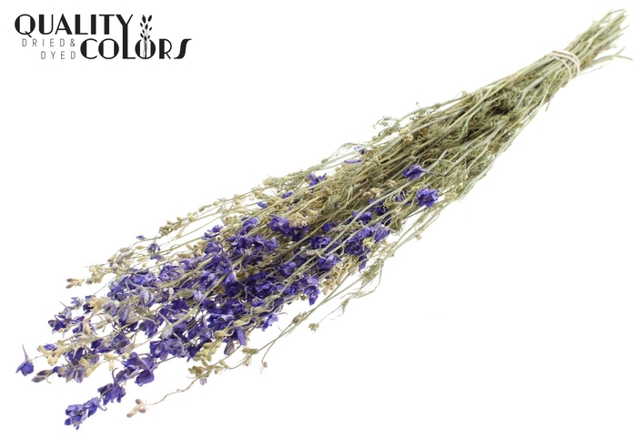 <h4>Delphinium Dried per bunch Blue</h4>