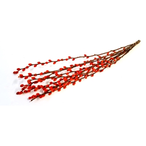 Pussy willow 60cm orange