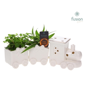 Keramiek LED Trein Medium met Groenen planten