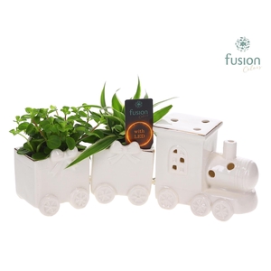 Keramiek LED Trein Medium met Groenen planten
