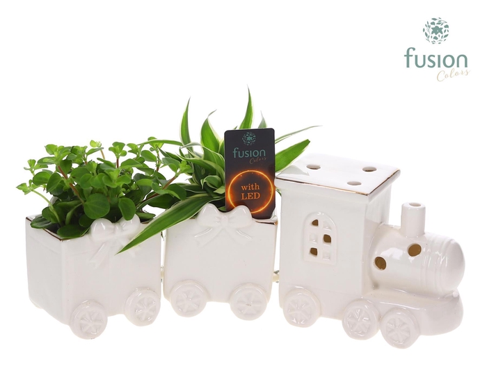 <h4>Keramiek LED Trein Medium met Groenen planten</h4>
