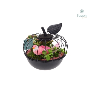 Metaal appel zwart Small met Arrangement