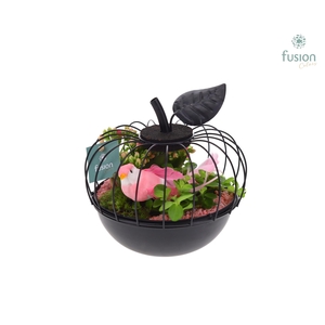 Metaal appel zwart Small met Arrangement