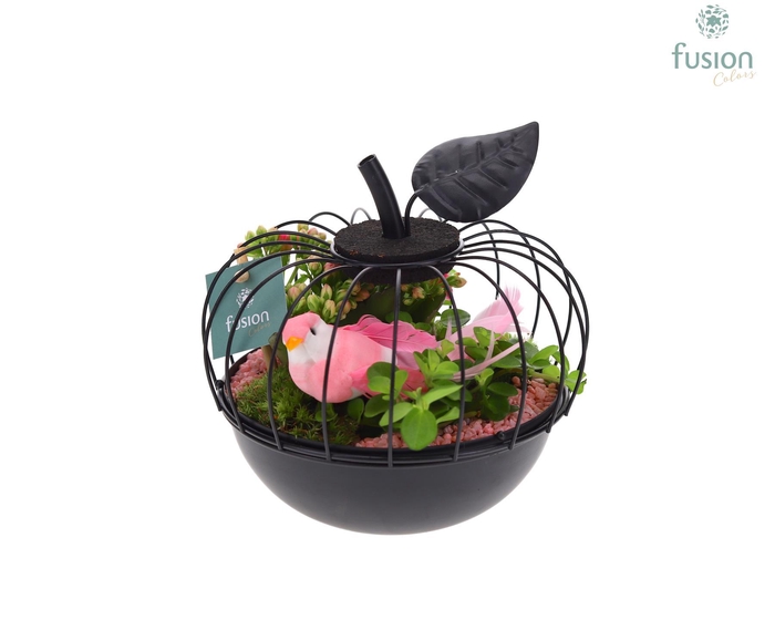 <h4>Metaal appel zwart Small met Arrangement</h4>