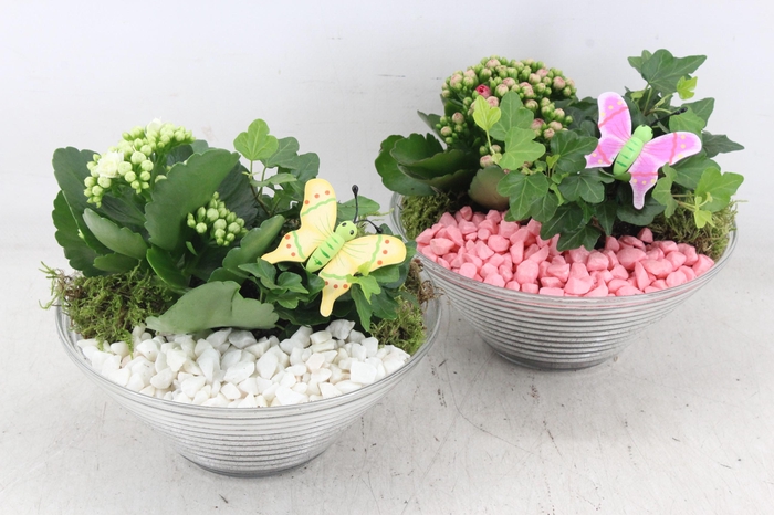 <h4>arr2 PL - Glas ribbel schaal x3 - roze/wit</h4>