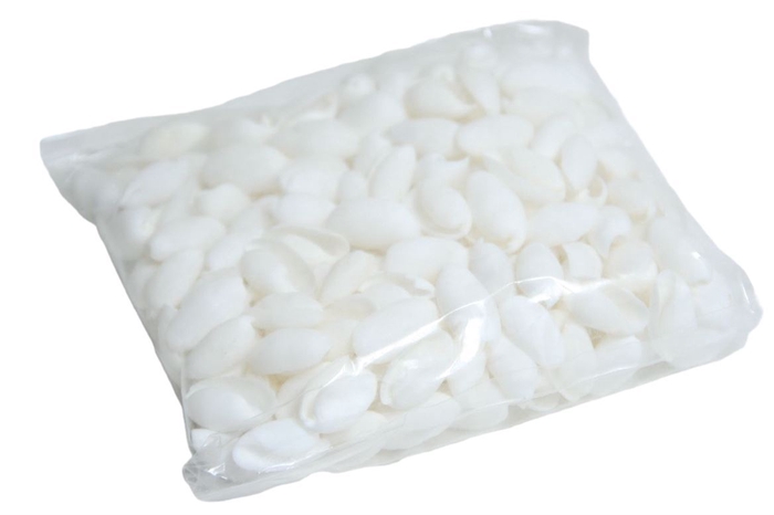 <h4>Shell Bubble 250g</h4>