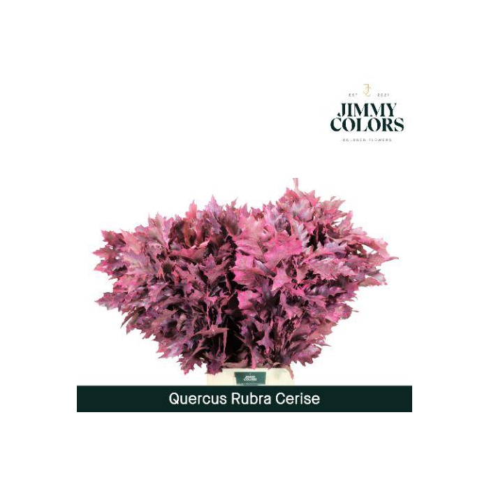 <h4>Quercus Rubra L80 Cerise</h4>