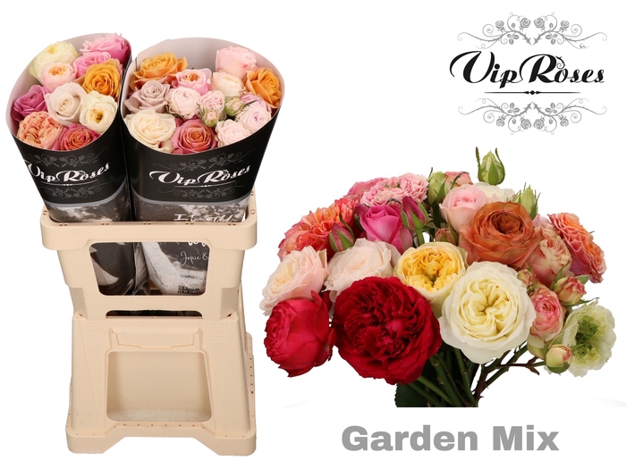 R GR GARDEN MIX