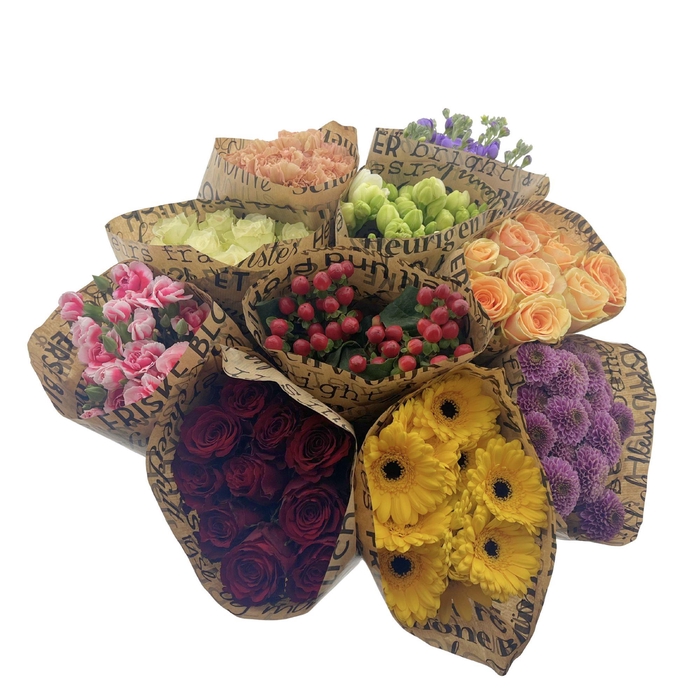 BQ Mono Assortiment 5 stems