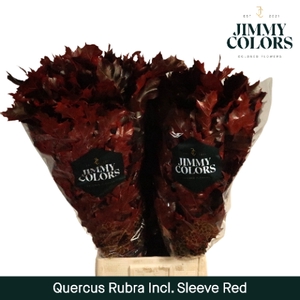 Quercus Rubra sleeve L80 Klbh. Rood