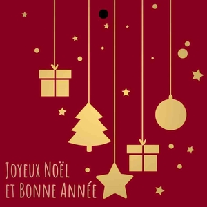 Kaart 7*7cm x20 Joyeux Noel