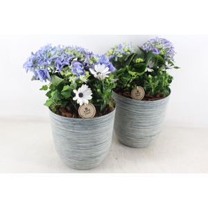 arr4 Outdoor PL - Hort. blauw kunstst. pot L x3