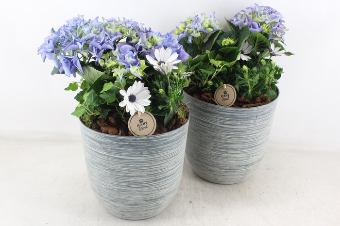 <h4>arr4 Outdoor PL - Hort. blauw kunstst. pot L x3</h4>