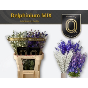 DELPH DU GEM FUST 90CM MIX
