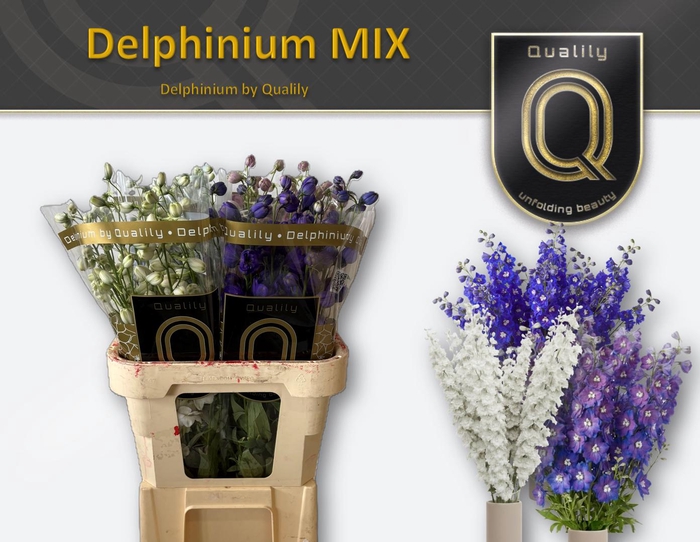 <h4>DELPH DU GEM FUST 90CM MIX</h4>