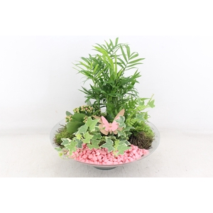 arr2 PL - Glas schaal konisch XL - roze