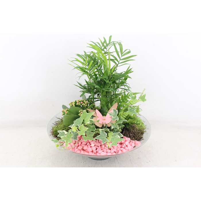 <h4>Arr2 Pl - Glas Schaal Konisch Xl - Roze</h4>