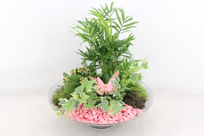 <h4>arr2 PL - Glas schaal konisch XL - roze</h4>