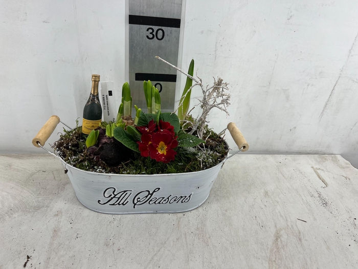 <h4>ARR PL IN SCHAAL</h4>