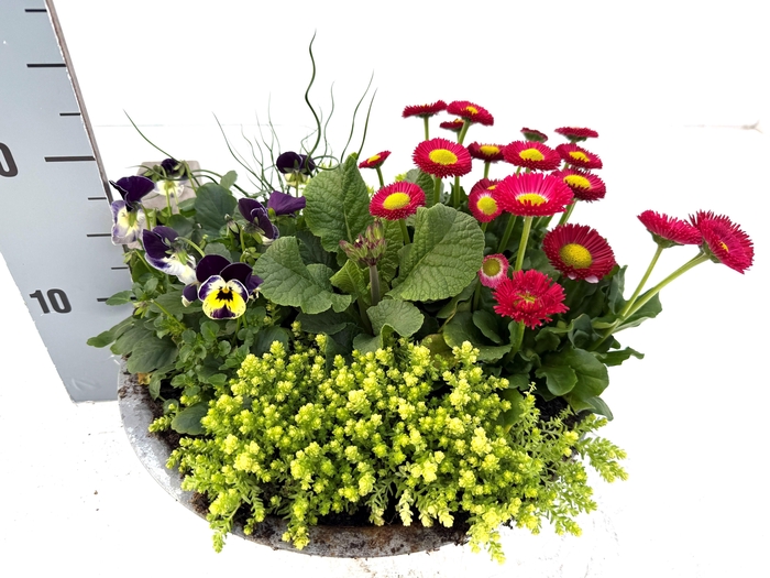 <h4>OVERIGE PERKPL</h4>