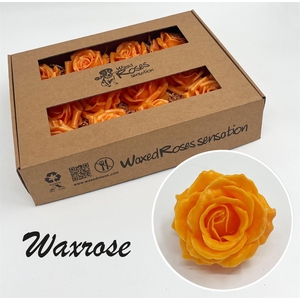 Zijde R Wx Oker Geel