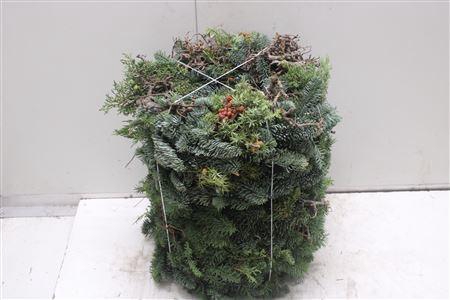 <h4>Krans Nobilis Juniper Red</h4>