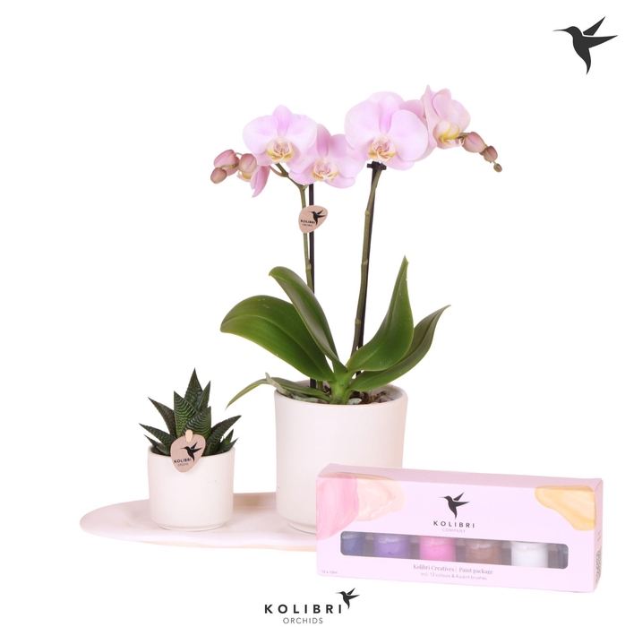 <h4>Kolibri Gift Set small Painting</h4>